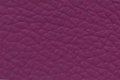 Echtleder - Fresh Colours - Ganze Haut Funky Purple