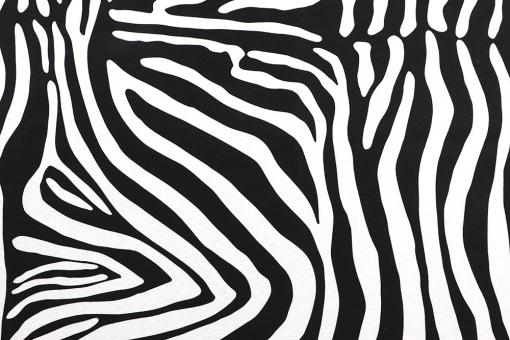 Dekostoff - 280 cm - Zebra 